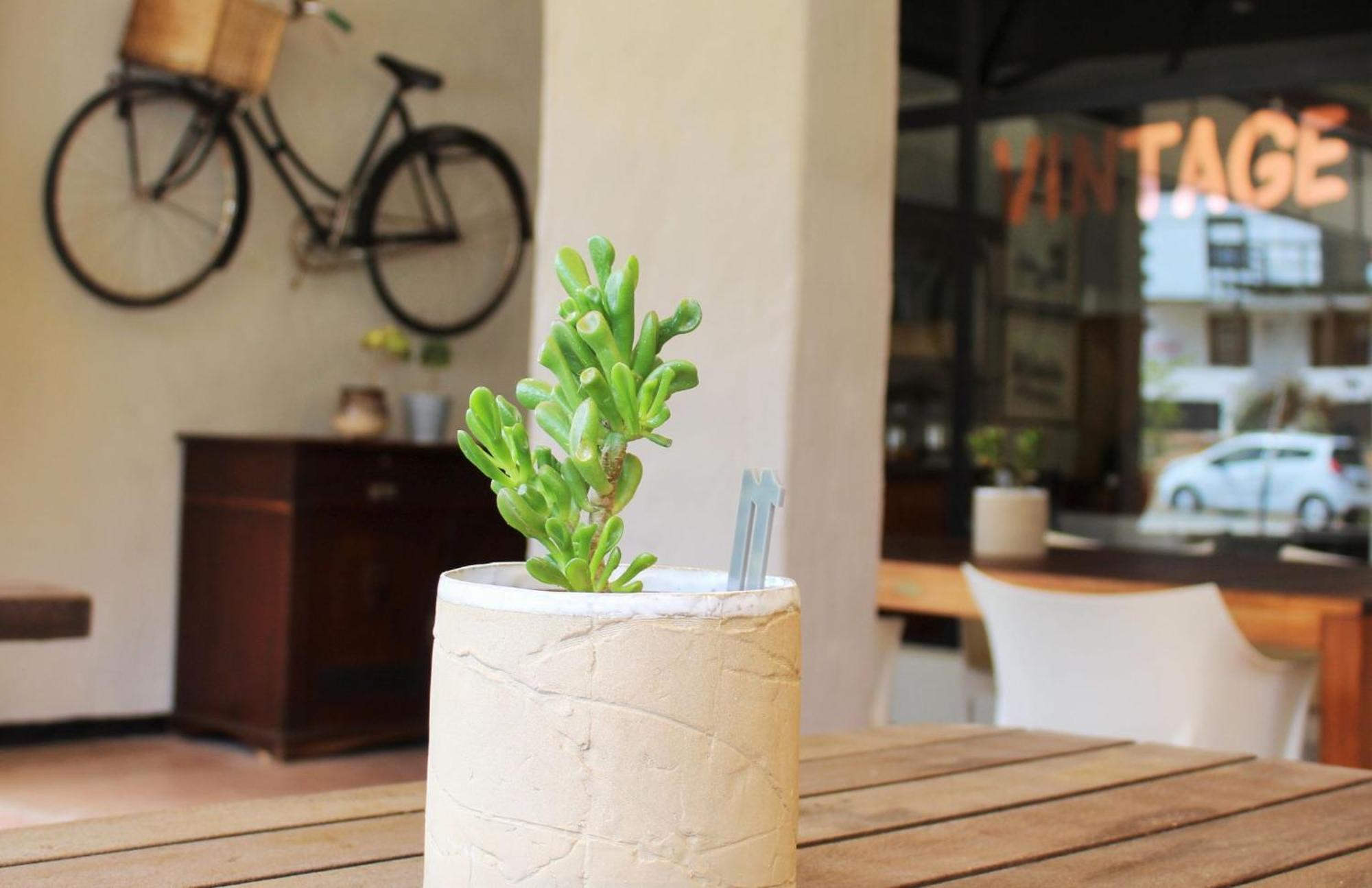 Barrydale Karoo - Boutique Hotel Экстерьер фото